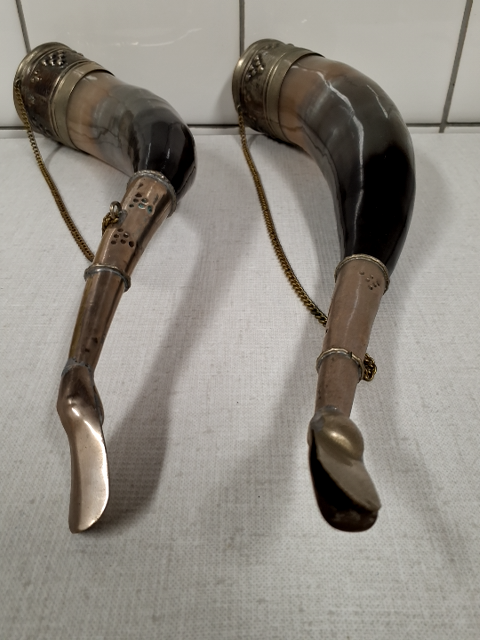 Signalhorn